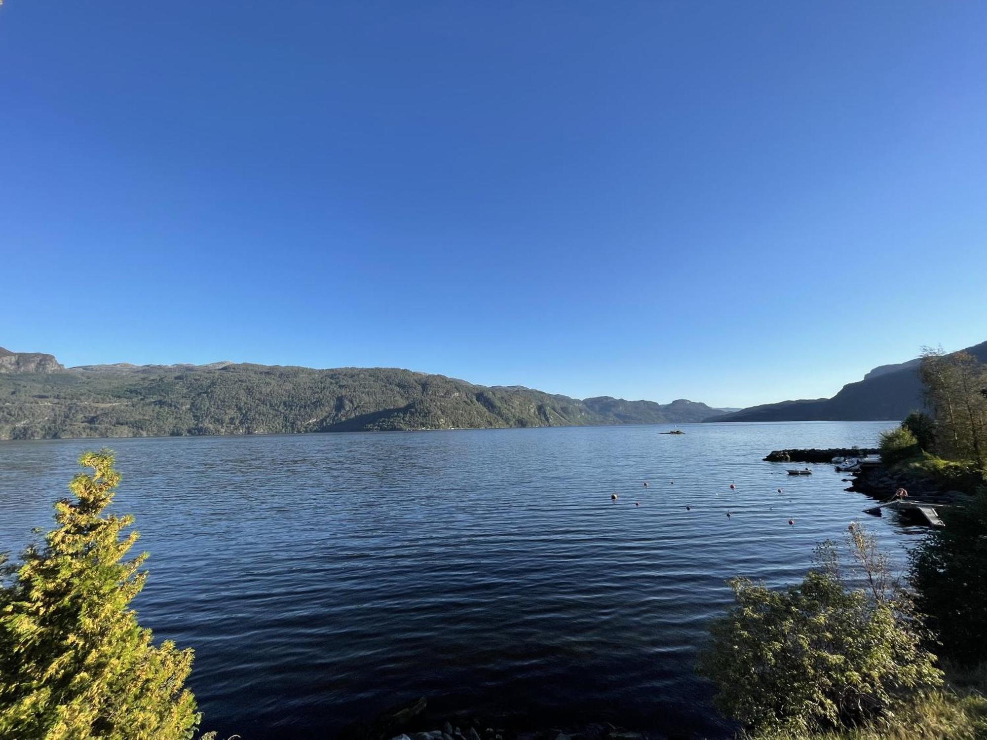 Sauda Fjord Camping Saudasjøen Εξωτερικό φωτογραφία